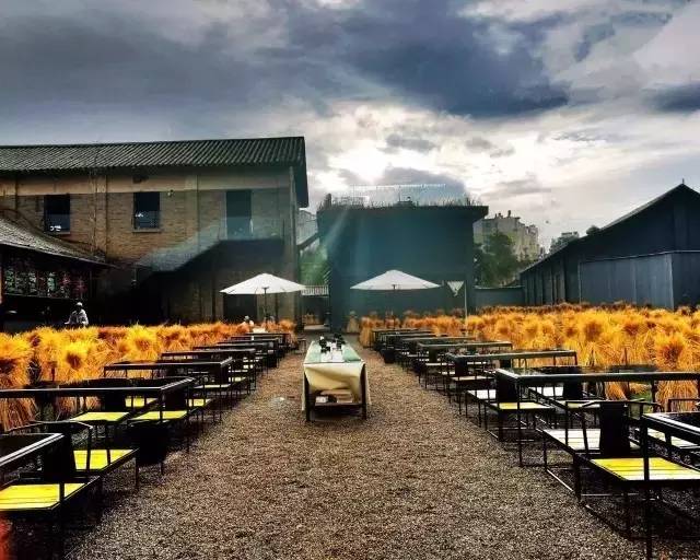 3間開在稻田里的民宿，回歸自然向往田園風光