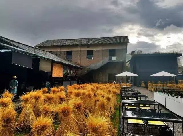 3間開在稻田里的民宿，回歸自然向往田園風光