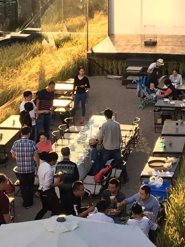 3間開(kāi)在稻田里的民宿，回歸自然向往田園風(fēng)光