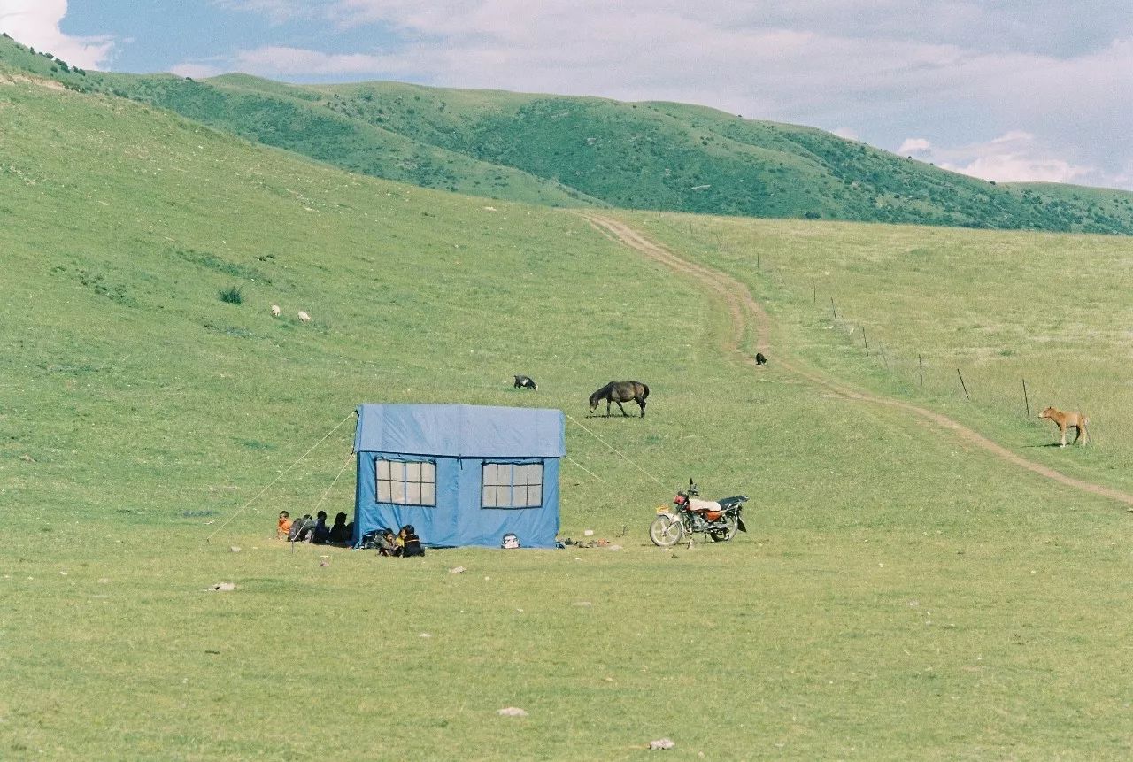 大理密?chē)?yán)，繁花盛放找尋已久的內(nèi)心凈土