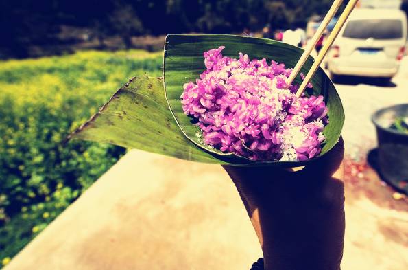 壩美·歸園，隱居聽(tīng)心歸于自然盡享鄉(xiāng)村野趣