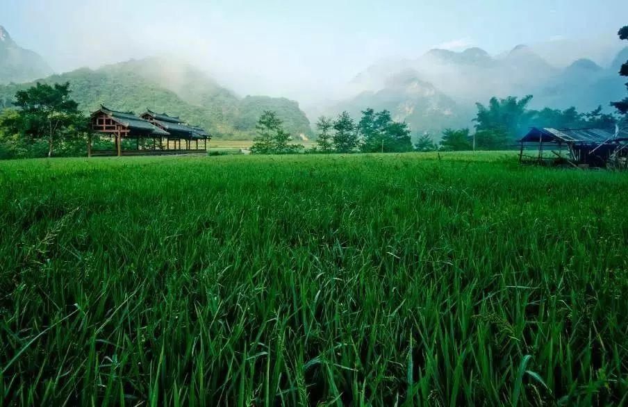 壩美·歸園，隱居聽(tīng)心歸于自然盡享鄉(xiāng)村野趣