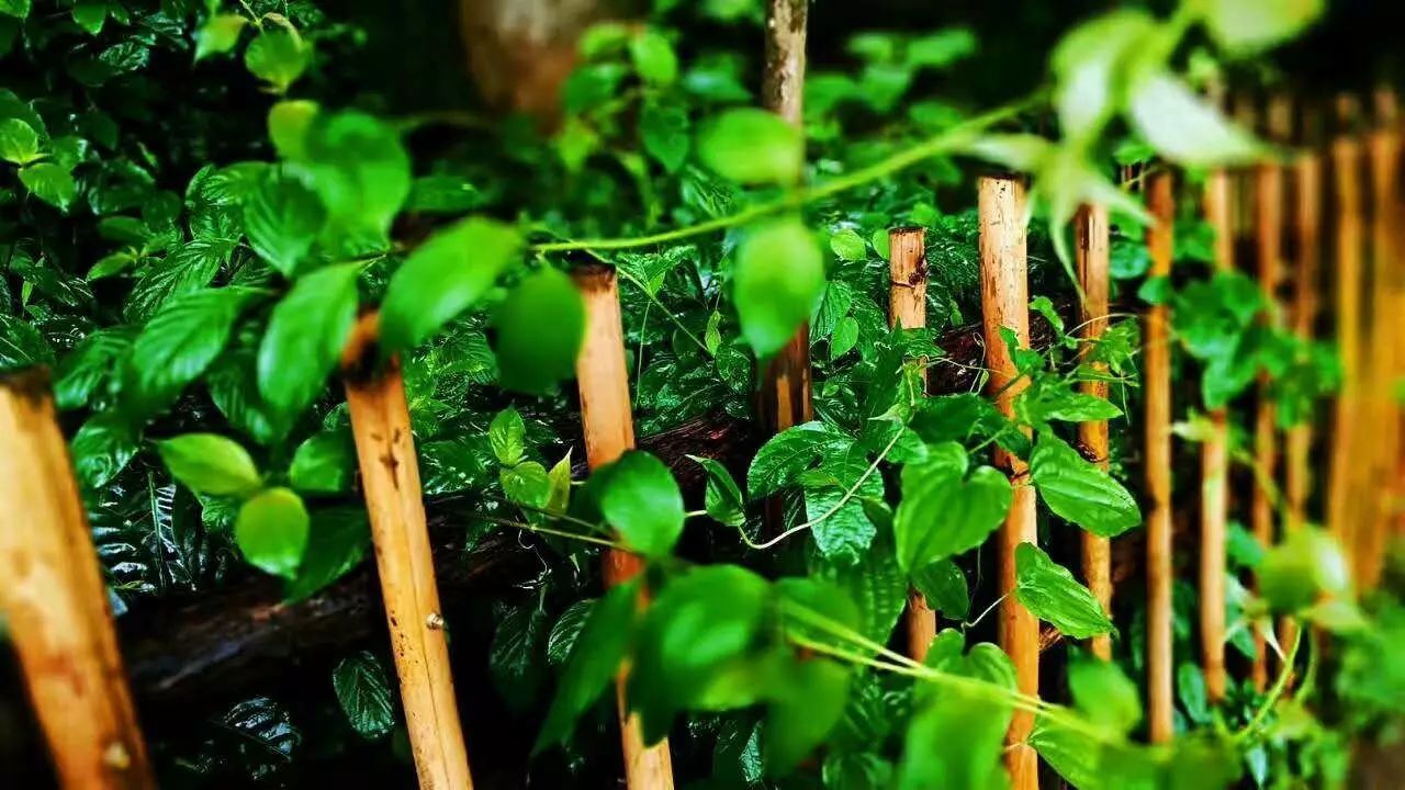 壩美·歸園，隱居聽(tīng)心歸于自然盡享鄉(xiāng)村野趣