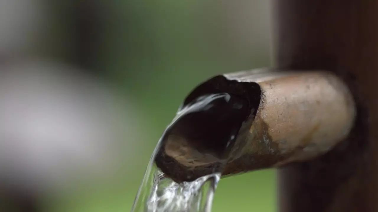 陶舍藝術(shù)酒店，一個「詩意的世界」