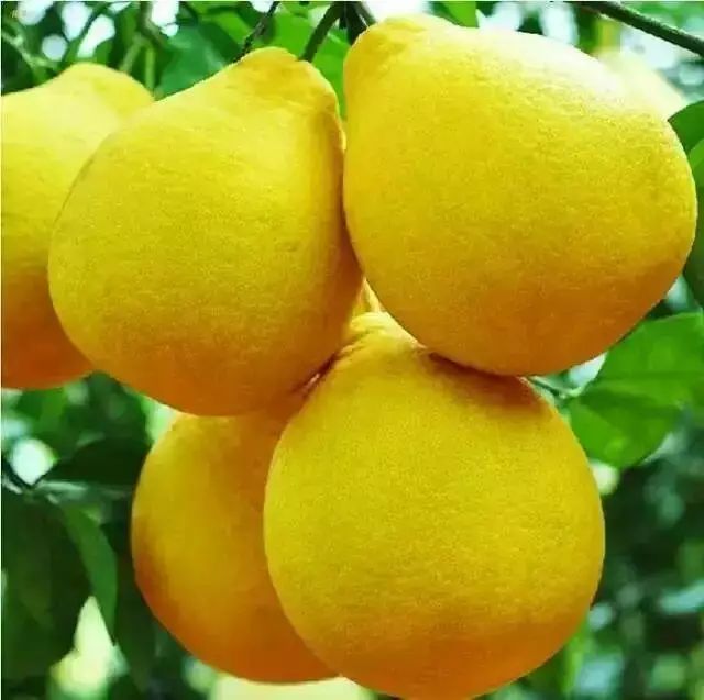 云澗阡陌·野望，特色度假小鎮(zhèn)體驗(yàn)親子主題民宿