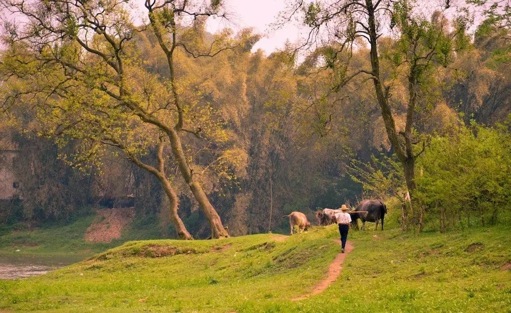 云澗阡陌·野望，特色度假小鎮(zhèn)體驗(yàn)親子主題民宿