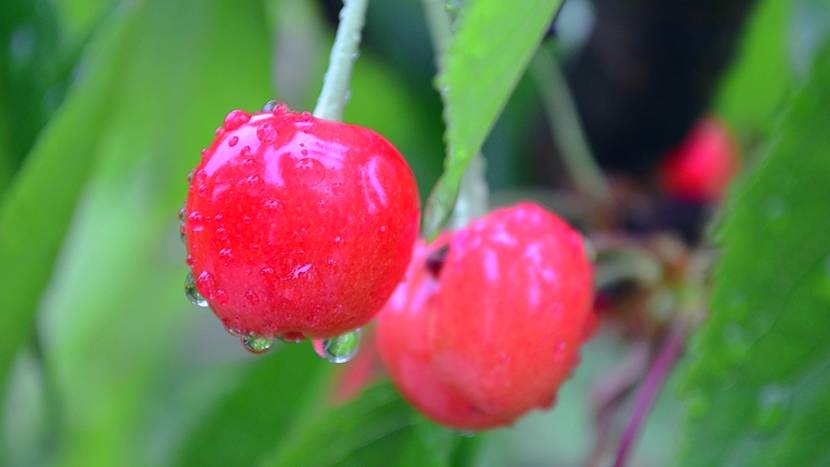 煙臺·極客客棧，歡迎每一顆想要逃離的心