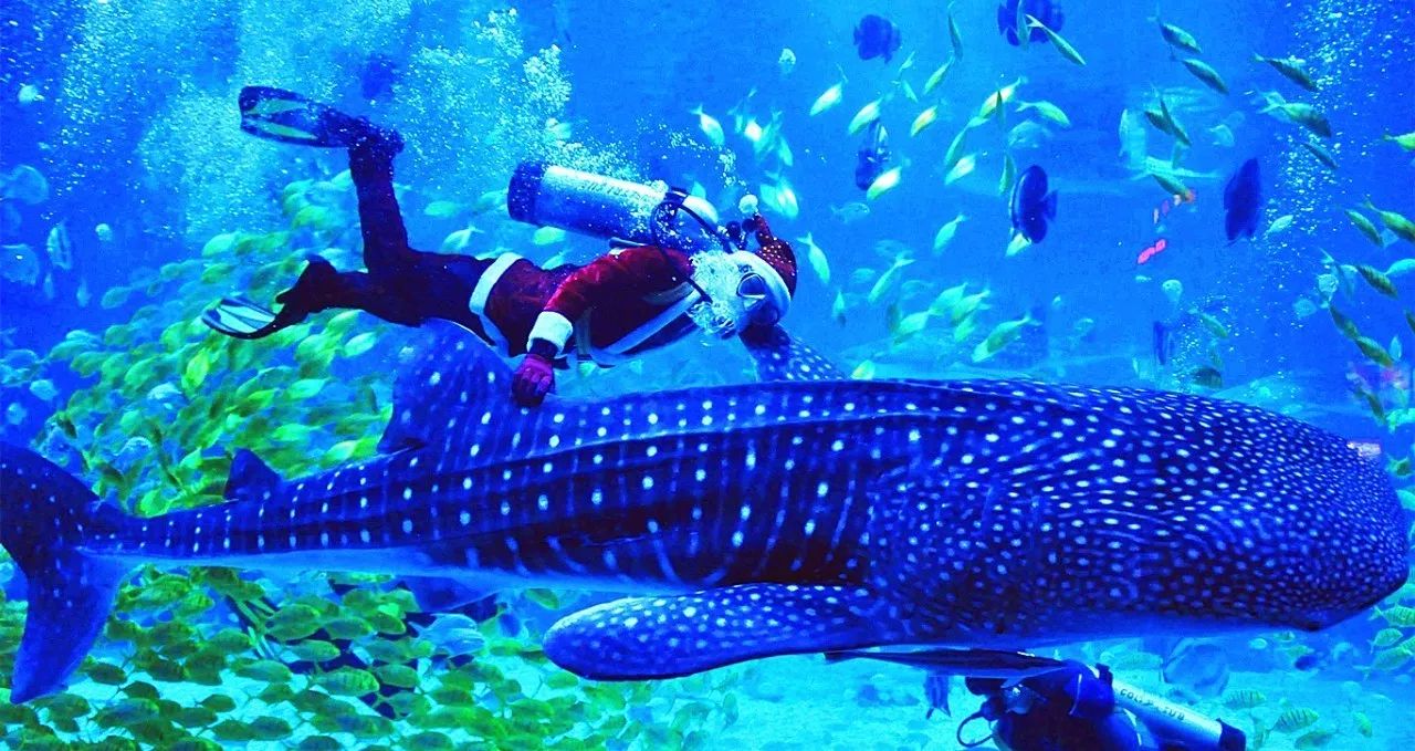 煙臺·極客客棧，歡迎每一顆想要逃離的心