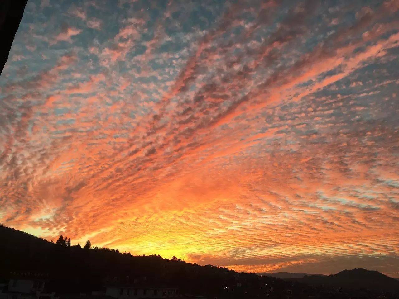 安之若宿，像家一樣既來之則安之