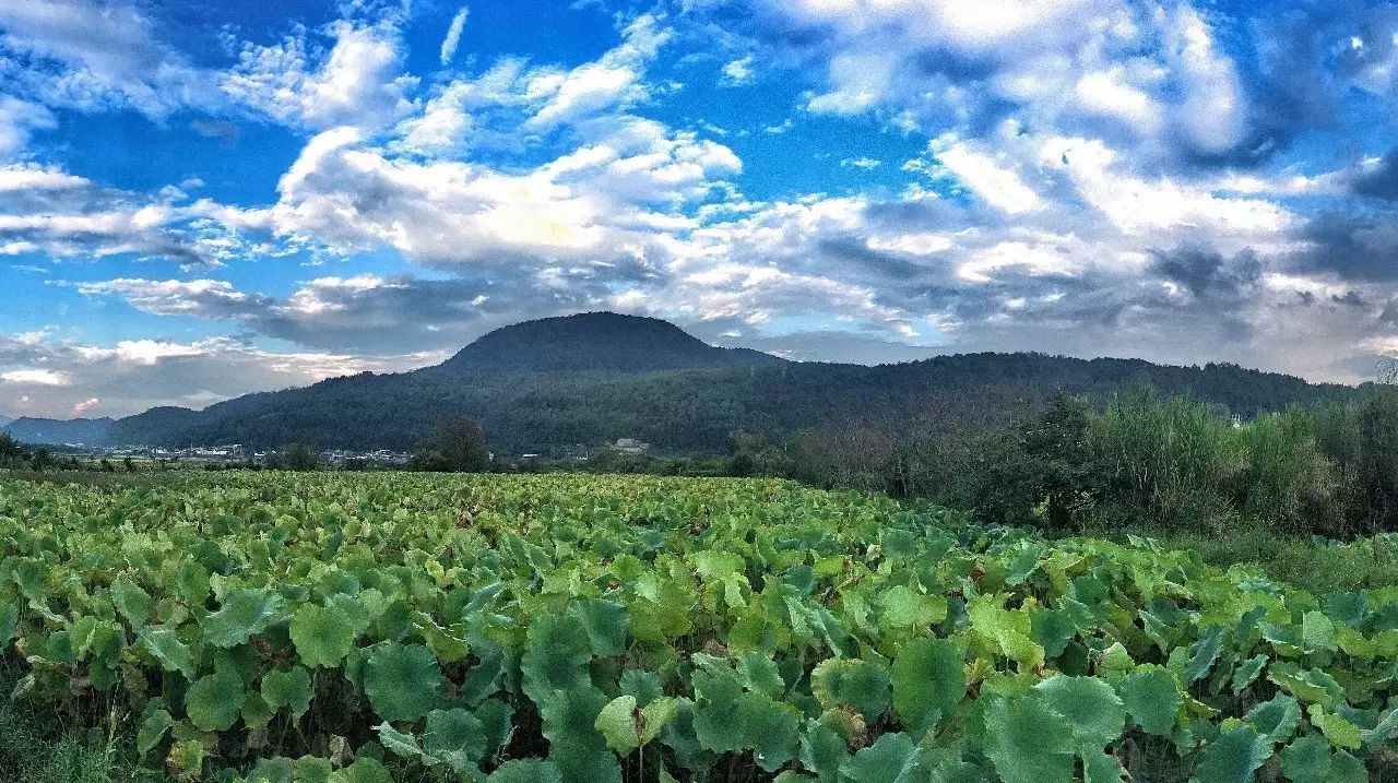 安之若宿，像家一樣既來之則安之