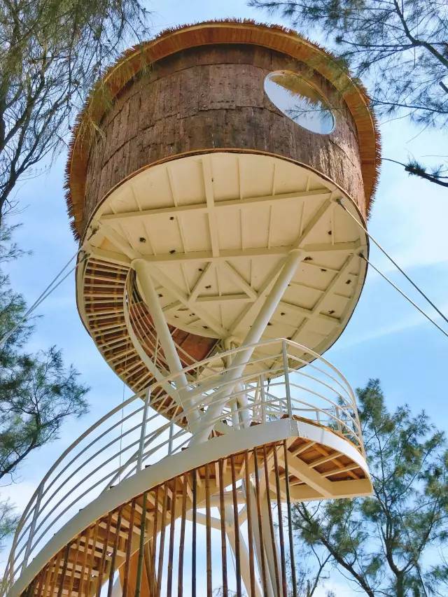 翡翠灣，在遼闊的海洋前做回無憂快樂的自我