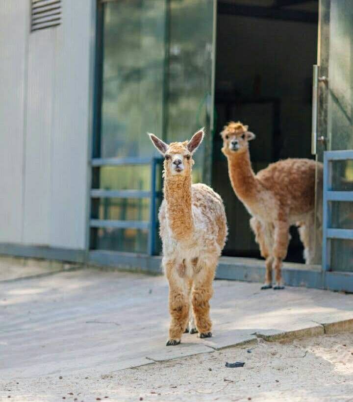 翡翠灣，在遼闊的海洋前做回?zé)o憂快樂(lè)的自我