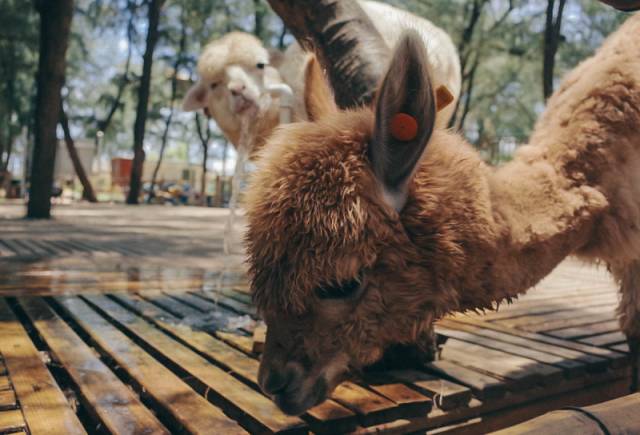 翡翠灣，在遼闊的海洋前做回?zé)o憂快樂的自我