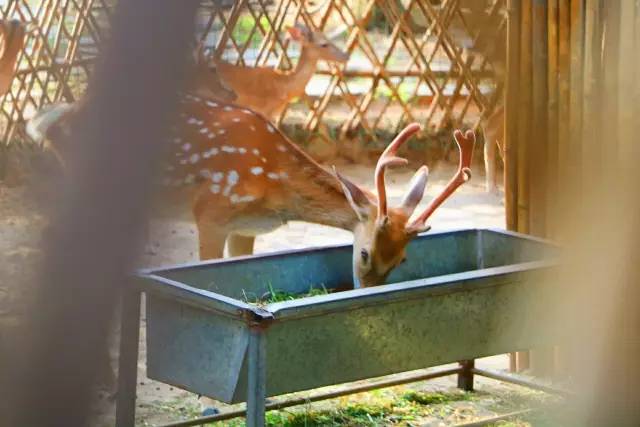 翡翠灣，在遼闊的海洋前做回?zé)o憂快樂的自我