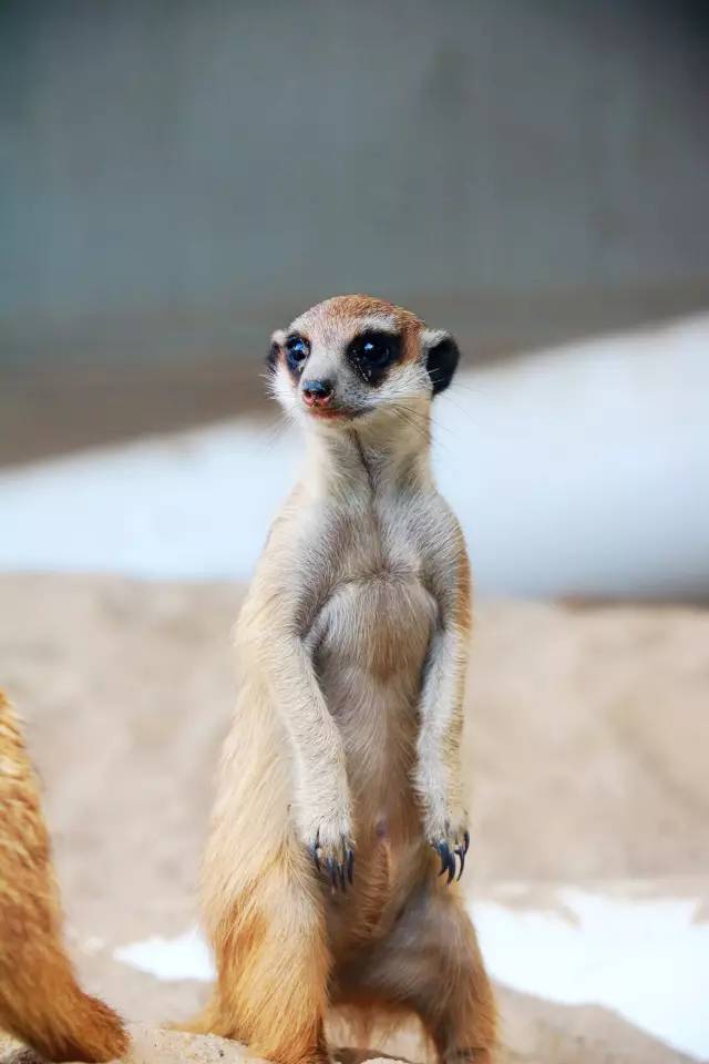 翡翠灣，在遼闊的海洋前做回?zé)o憂快樂的自我