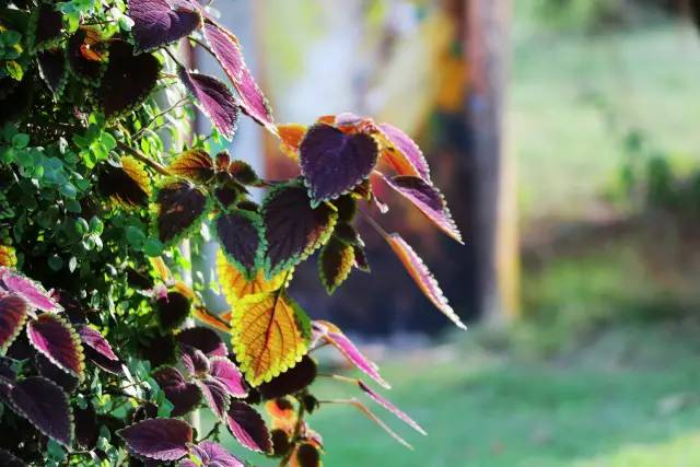 翡翠灣，在遼闊的海洋前做回?zé)o憂快樂的自我