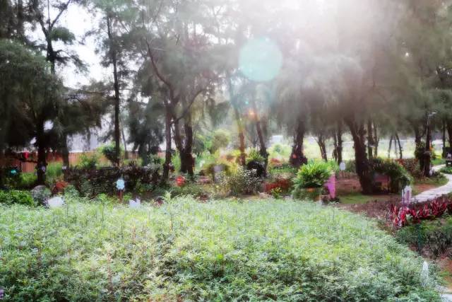 翡翠灣，在遼闊的海洋前做回?zé)o憂快樂的自我