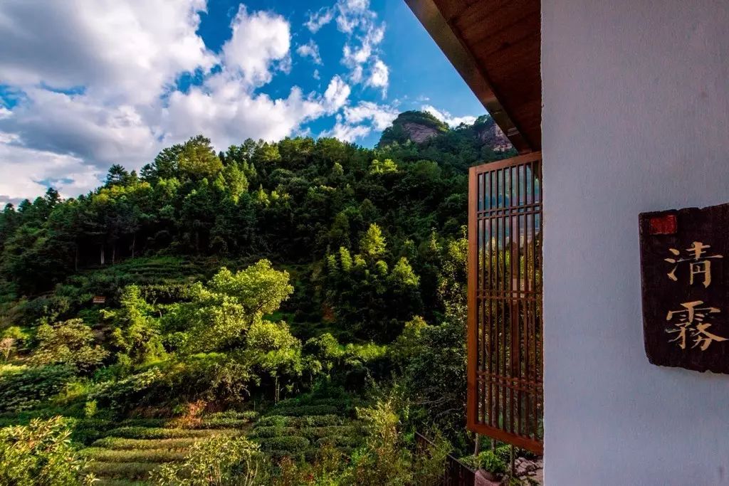 叢山茶境，一片天一座山忘了山外忘卻自己