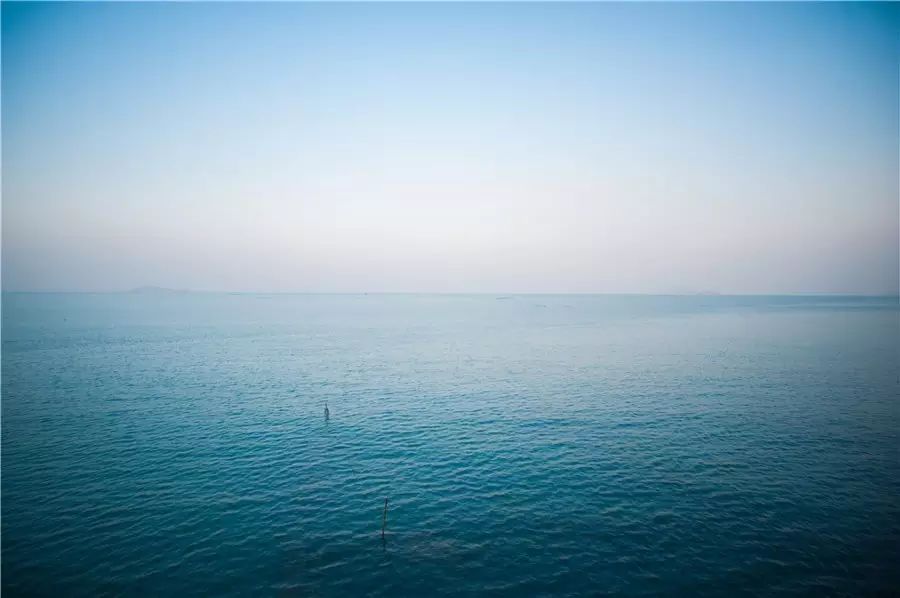 樸宿·微瀾山居，空山鳥語就在身畔