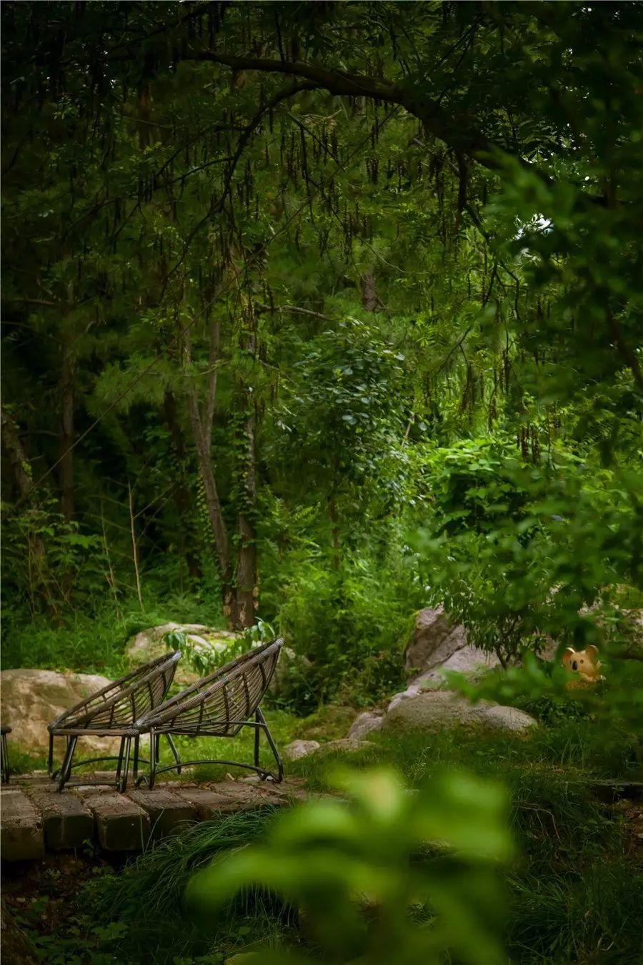 樸宿·微瀾山居，空山鳥語就在身畔