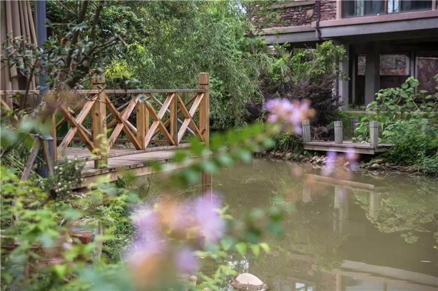 武夷山·山玖如意莊，一杯清茶一萬(wàn)個(gè)品茶人