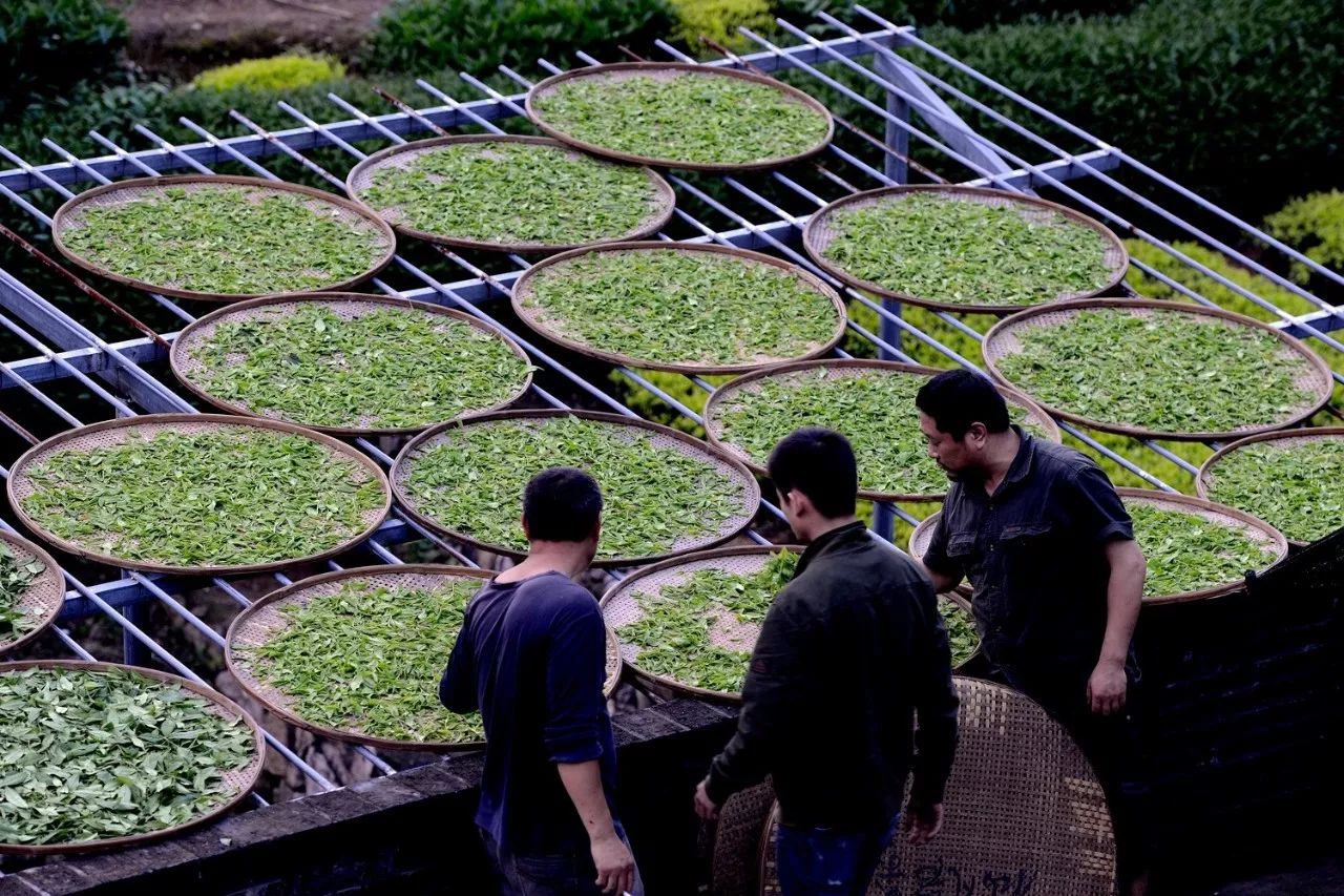 武夷山·山玖如意莊，一杯清茶一萬(wàn)個(gè)品茶人