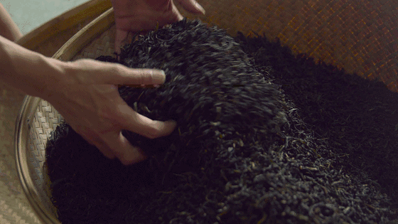 武夷山·山玖如意莊，一杯清茶一萬(wàn)個(gè)品茶人