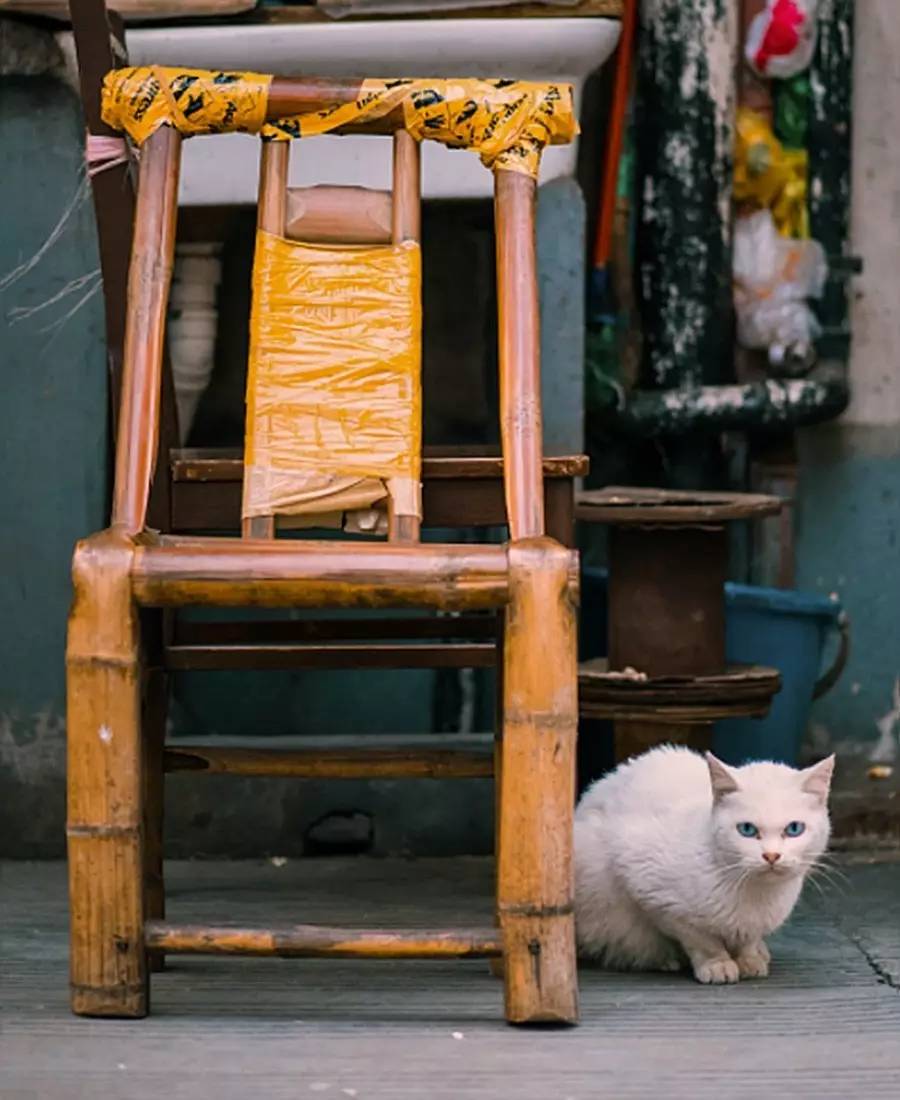 竹制好物，竹編工藝之美！