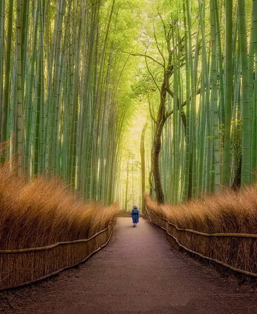 竹制好物，竹編工藝之美！