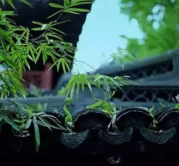 古建筑，一片瓦，遮風(fēng)擋雨