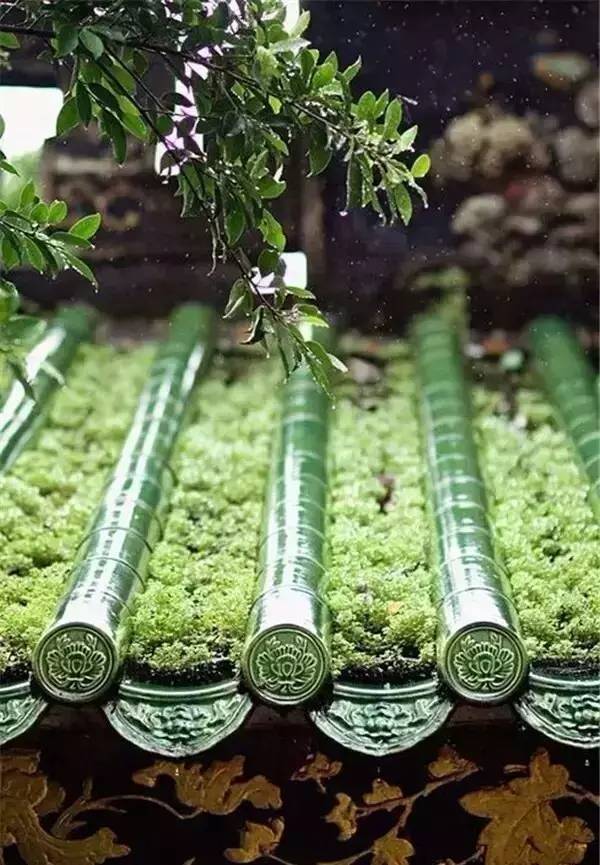 古建筑，一片瓦，遮風(fēng)擋雨