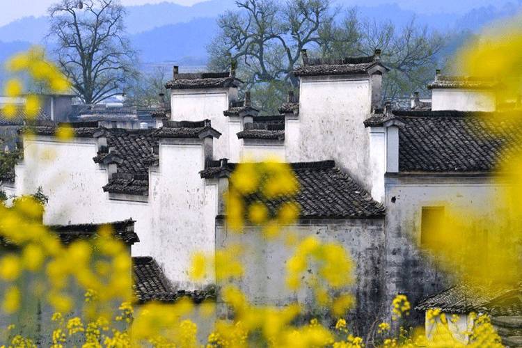 古建筑，一片瓦，遮風(fēng)擋雨