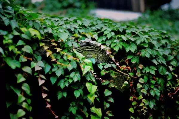 古建筑，一片瓦，遮風(fēng)擋雨