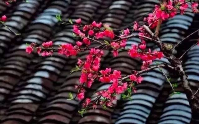 古建筑，一片瓦，遮風(fēng)擋雨