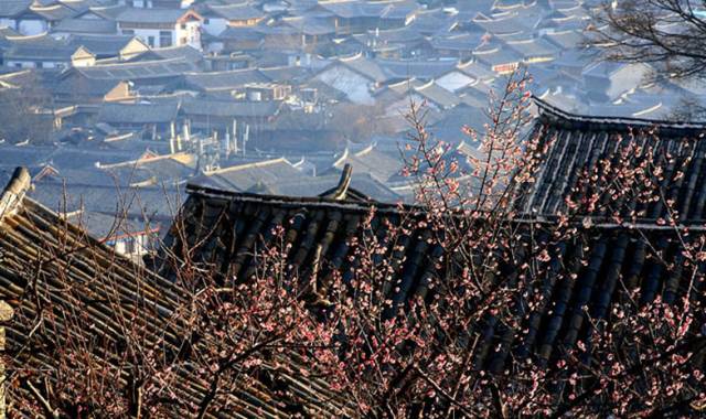 古建筑，一片瓦，遮風(fēng)擋雨