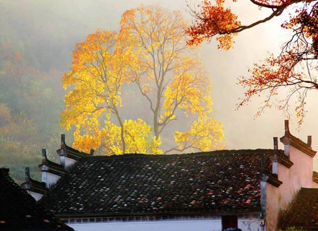 古建筑，一片瓦，遮風(fēng)擋雨