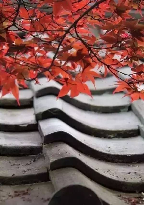 古建筑，一片瓦，遮風(fēng)擋雨