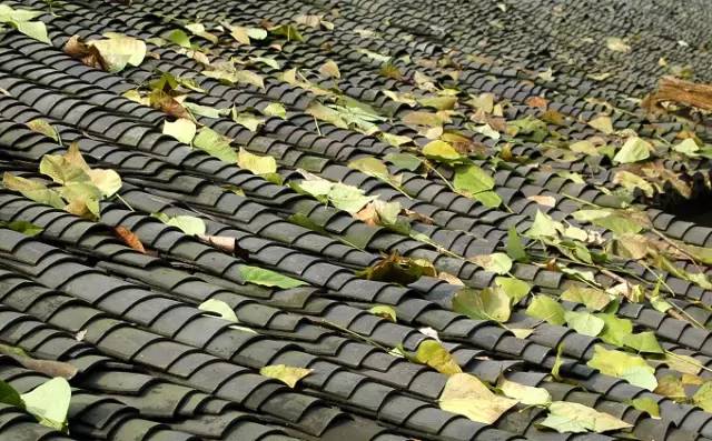 古建筑，一片瓦，遮風(fēng)擋雨