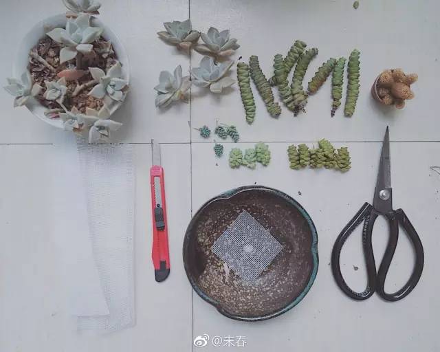 獨特中國美，最美插畫，膚如凝脂珠圓玉潤民國