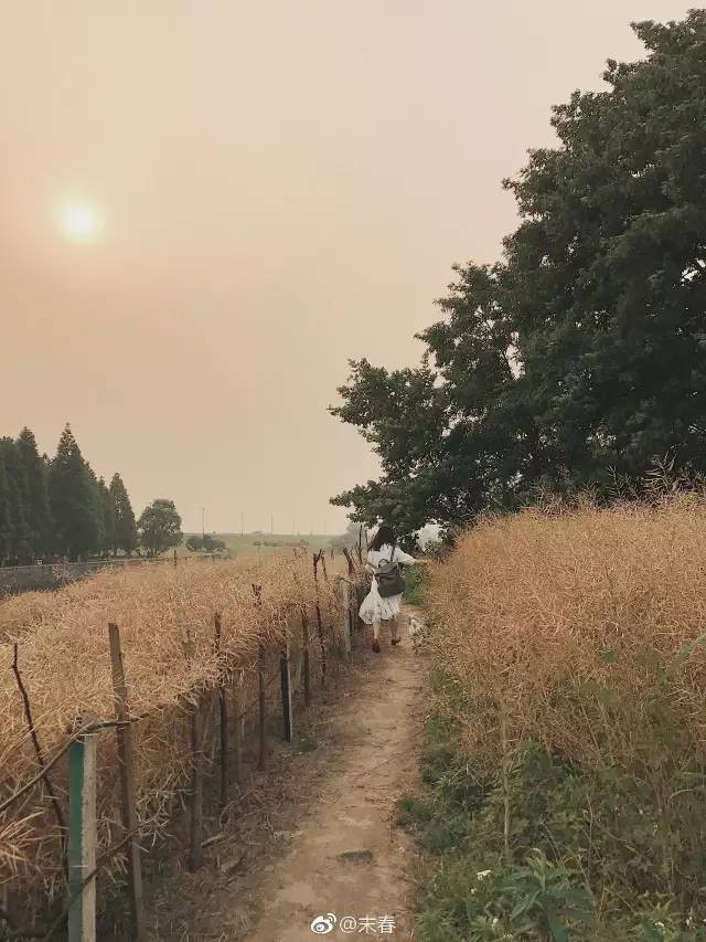 獨(dú)特中國(guó)美，最美插畫(huà)，膚如凝脂珠圓玉潤(rùn)民國(guó)