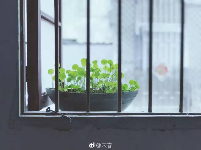 獨(dú)特中國(guó)美，最美插畫(huà)，膚如凝脂珠圓玉潤(rùn)民國(guó)