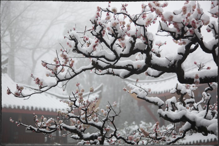 美的刺目的中國(guó)古建筑 歷經(jīng)世間滄桑、歲月荏苒