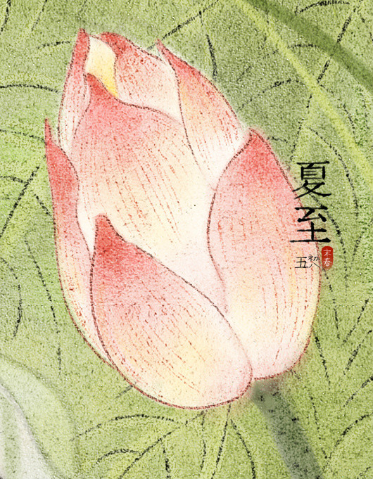 超細(xì)致的民國(guó)美女手繪插畫(huà)