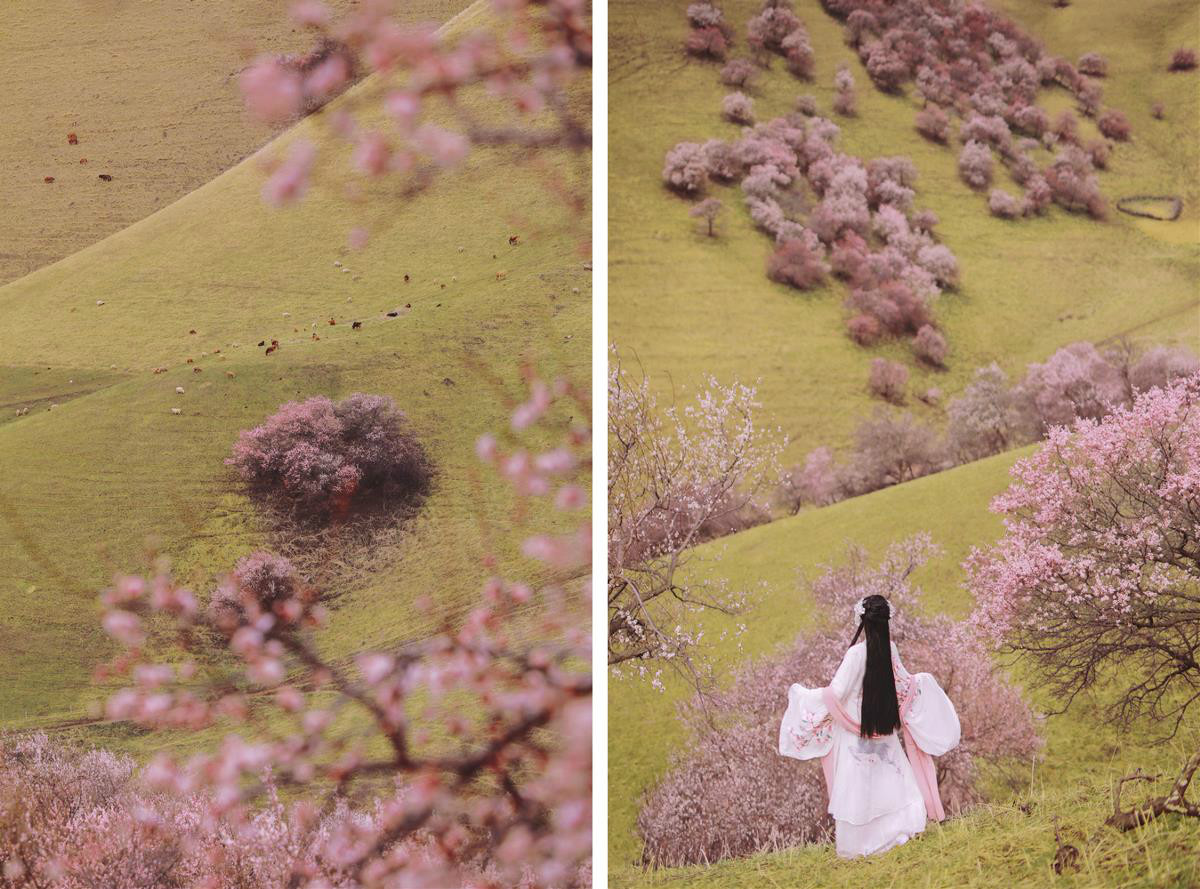 清新脫俗桃花仙子古裝女子攝影