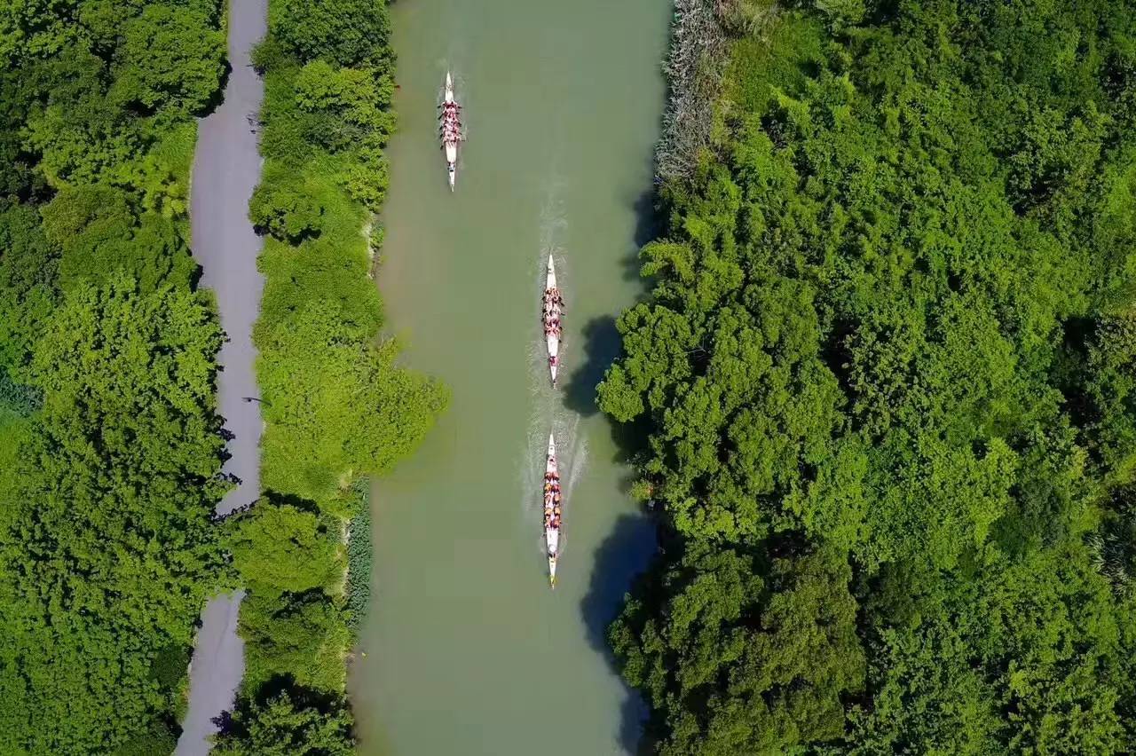 好久不見，西溪濕地范的民宿