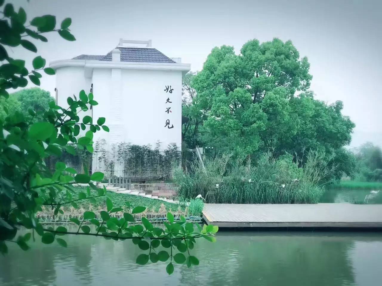 好久不見，西溪濕地范的民宿