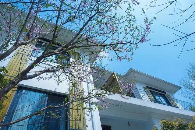 好久不見，西溪濕地范的民宿