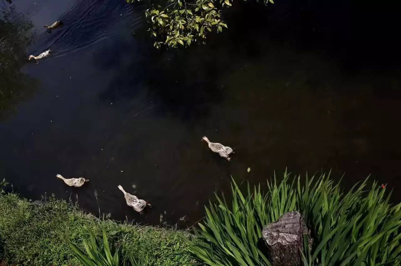 茶馬古道，民宿古宅設計改造