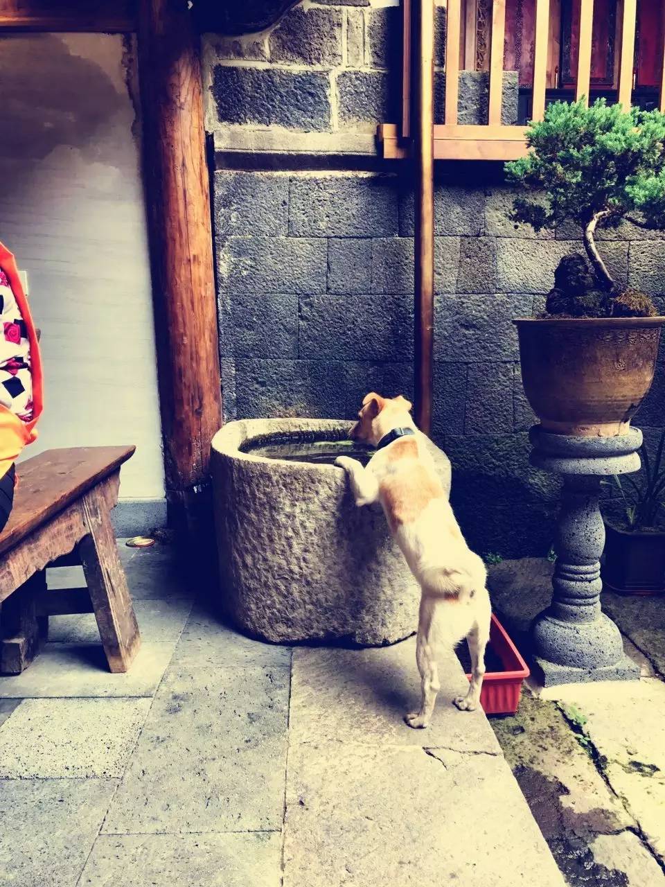 茶馬古道，民宿古宅設(shè)計(jì)改造