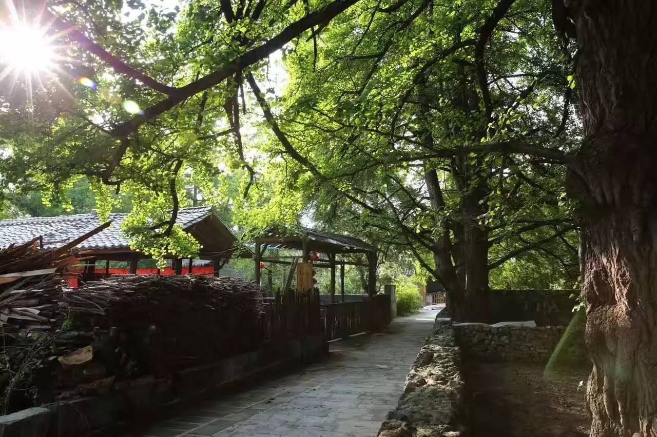 茶馬古道，民宿古宅設(shè)計(jì)改造